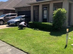 Bush Trimming by Johnnie Spears for Kathy C. in 3, LA
