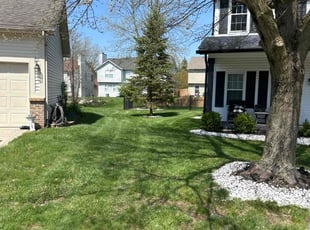 Monica V.'s Lawn Maintenance service result