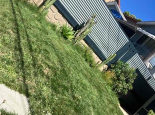 Bush Trimming by Alexander Stevenson for ANDREW S. in Los Angeles, CA