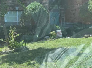 Bush Trimming by Simon Sanchez Jr for Cami B. in Rowlett, TX