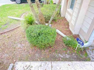 Bush Trimming by James Anderson for JOY L. in Tampa, FL