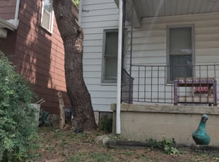 Cleanups by Chris Steinhour for Michelle L. in Columbus, OH