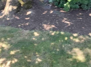 Weeding by Ken Pearson for Erin S. in Portland, OR