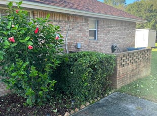 Bush Trimming by Jeremy Faulk for Karen M. in Jacksonville, FL