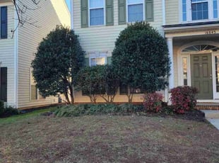 Bush Trimming by Jon Button for JeMia M. in Huntersville, NC