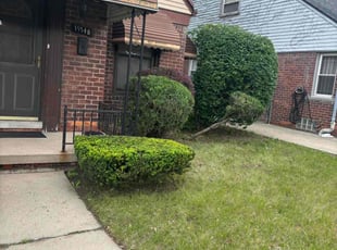 Bush Trimming by Charles Lewis for Hayes C. in Detroit, MI