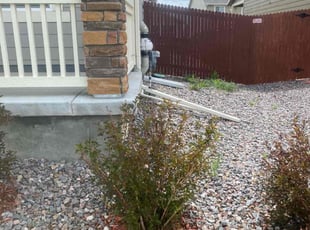 Bush Trimming by Connor Andrew for Cynthia F. in Parker, CO