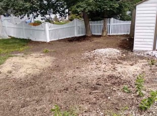 Cleanups by Anna Day for Melanie A. in Visalia, CA
