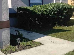 Bush Trimming by Willie Carmichael Jr for Lisa G. in Apopka, FL