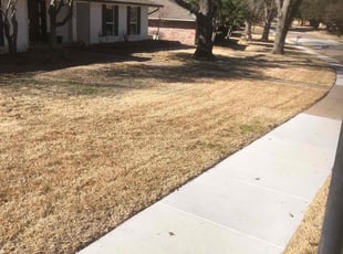 Leaf Removal by Roger Brock for Carly C. in Plano, TX