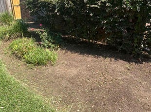 Weeding by Nicole Ross for Astoria B. in Houston, TX
