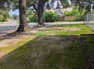 Cleanups by Randall Mergist for Michael H. in Lafayette, LA