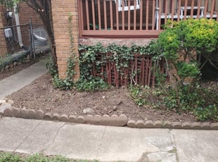 Weeding by Douglas Rivas for Dionne M. in Washington, DC