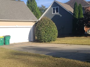 Bush Trimming by Chris Towery for Seth G. in Alpharetta, GA