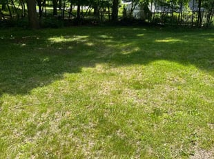 Cleanups by Dedrah Kowalski for Pat T. in Northville, MI
