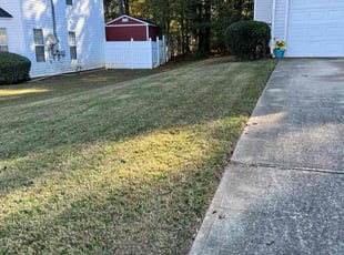 Bush Trimming by Michael Marshall for Michele B. in Lithonia, GA