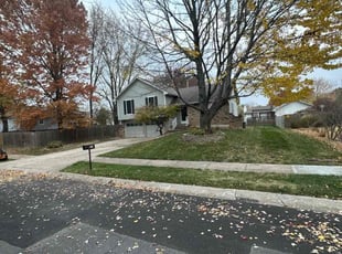 Leaf Removal by Jacob Russi for Cole C. in Lee's Summit, MO