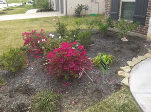 Weeding by Isabel Valdez for Ravi E. in Pearland, TX