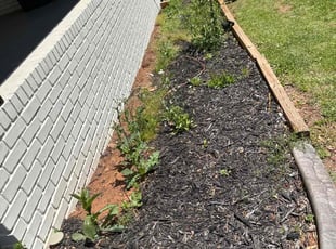 Weeding by Courtland Davis for Christopher B. in Duluth, GA