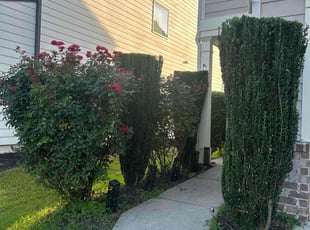 Bush Trimming by Dutch Lawn Care for Satya K. in Cumming, GA