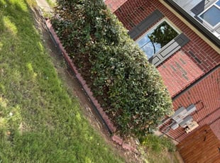 Bush Trimming by Hector Espinosa for Wolfgang B. in Austin, TX