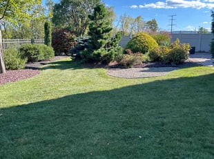 Rich R.'s Lawn Care service result