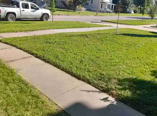 Linda J.'s Lawn Service service result
