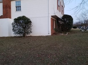 Bush Trimming by Mark Burke for Laverne J. in Centreville, VA