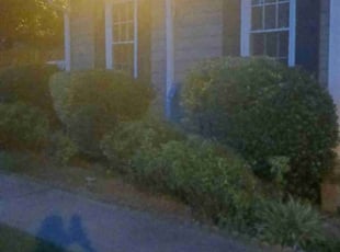 Bush Trimming by Virgil GREENE for Starr M. in Stockbridge, GA