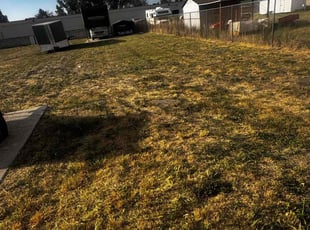 Cleanups by Evy Alexander Armas Gonzalez for Shelly Y. in Salt Lake City, UT