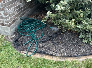 Weeding by Santiago Rodriguez for Amber B. in Alvin, TX