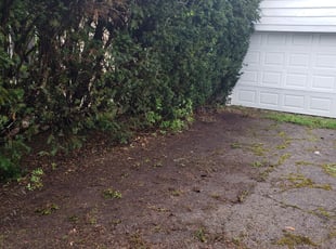 Leaf Removal by Alexander Pellot Ayala for Irene M. in Grove City, OH