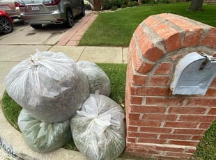 Leaf Removal by Fernando Gutierrez for Valerie A. in Flower Mound, TX