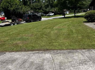 Minga O.'s Lawn Mowing Service service result