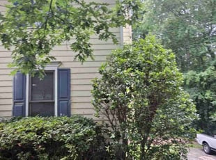 Bush Trimming by Jamil Lucy for Tuan B. in Marietta, GA
