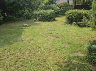 Bush Trimming by Felder Williams for Erica C. in West Columbia, SC