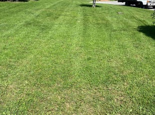 Luther m.'s Lawn Care service result