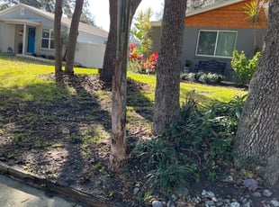 Leaf Removal by Dwaylon Peterson for Chantee G. in Tampa, FL