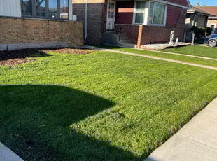 Miramique B.'s Lawn Service service result