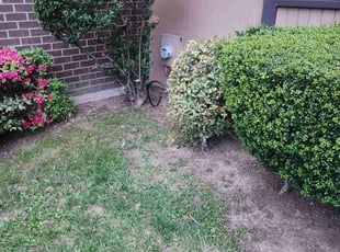 Leaf Removal by Neftali Sosa for Brian W. in Gaithersburg, MD