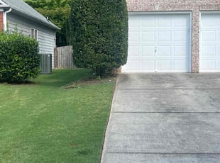 Bush Trimming by Louis Sampson for Ayla C. in Mableton, GA