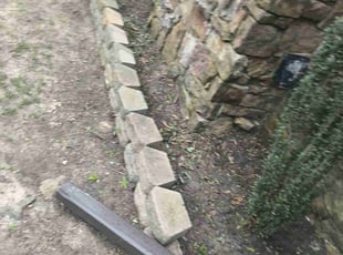 Leaf Removal by Christopher Duncan for Royale L. in Memphis, TN