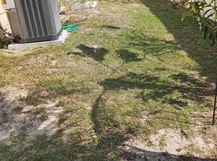 Leaf Removal by Jose Medina for Angeline E. in Kissimmee, FL