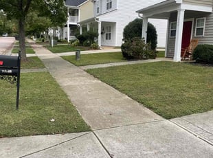 Amber s.'s Lawn Care service result