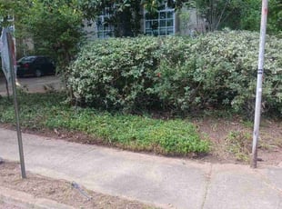 Leaf Removal by Jazzmin Earl for Scott J. in Atlanta, GA