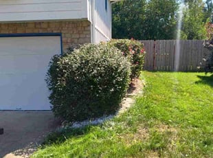 Bush Trimming by Timothy Walker for Dezronn W. in Lee's Summit, MO