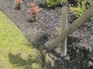 Weeding by Jason Hughes for Michael P. in Pooler, GA
