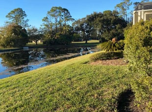 Jason B.'s Lawn Care service result