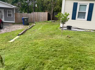Yadira G.'s Lawn Care service result