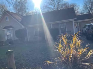 Leaf Removal by Jasmine Harris for Sonia W. in Memphis, TN